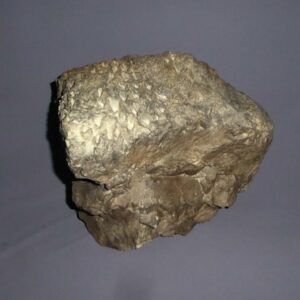 cyrad tree stump replica back F03