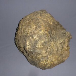 cycad tree stump replica right F03