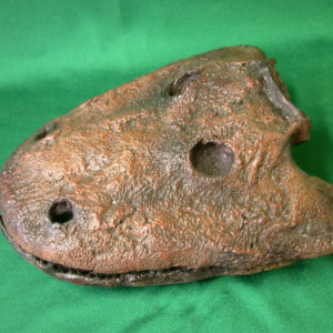 eryops megacephalus skull replica facing left