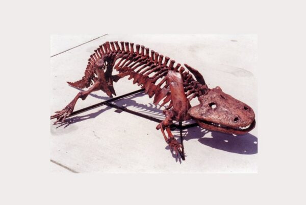 Eryops megacephalus skeleton replica is 66.0 x 35.4 x 79.9 in., museum-quality polyurethane resin cast of a AMNH specimen.