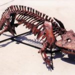 eryops megacephalus fossil skeleton