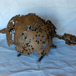Leisey's Armadillo Skeleton Replica - Image 3