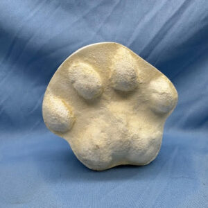 Mountain Lion Negative Footprint