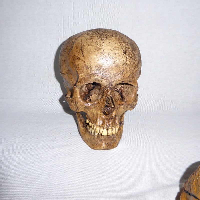 SW-Amerind-Skull-Replica-straight-HS102