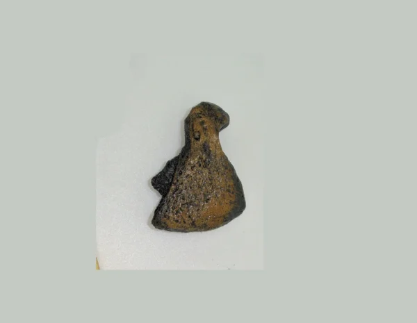 Smilodon claw replica is a museum-quality polyurethane resin cast. 1:1 scale.