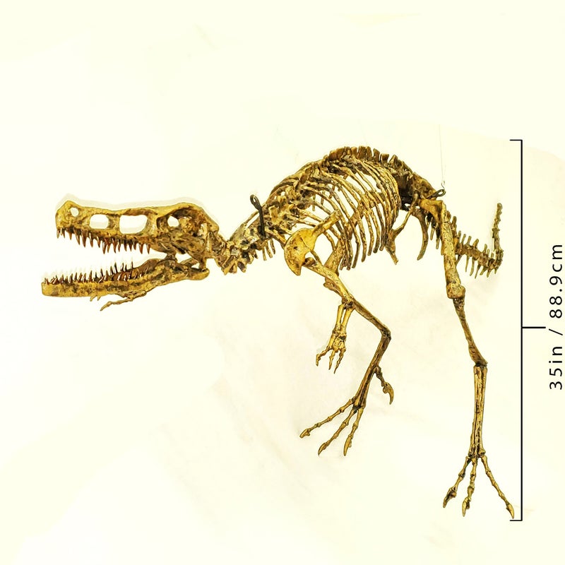 Velociraptor-Mounted-Skeleton-slight-left-AA321