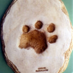 african leopard footprint cast