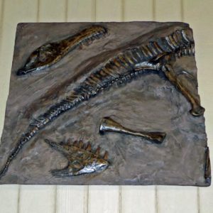 albertosaurus duckbill sand box panel
