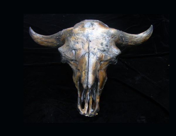 bison antiquus skull replica