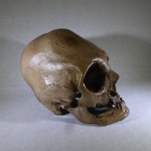 bound peruvian skull replica