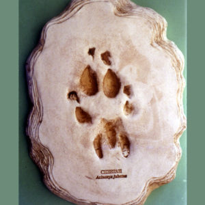 cheetah footprint cast replica