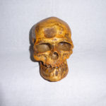 cro-magnon 1 skull