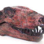 dimetrodon dinosaur skull replica
