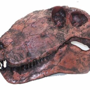 dimetrodon limbatus hayashibara skull replica S113