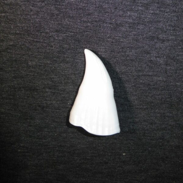 killer whale tooth replica black background