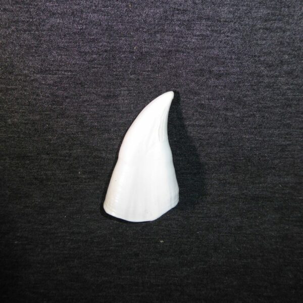 killer whale tooth replica facing right