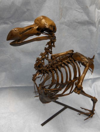 Dodo Bird Skeleton Replica