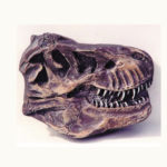 tyrannosaurus rex skull plaque