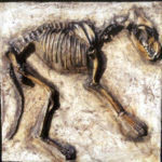 Dire-wolf-skeleton-panel-L109APANEL