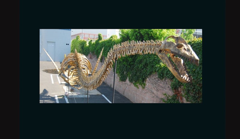 plesiosaurus-mounted-skeleton-replica-outside-AA108
