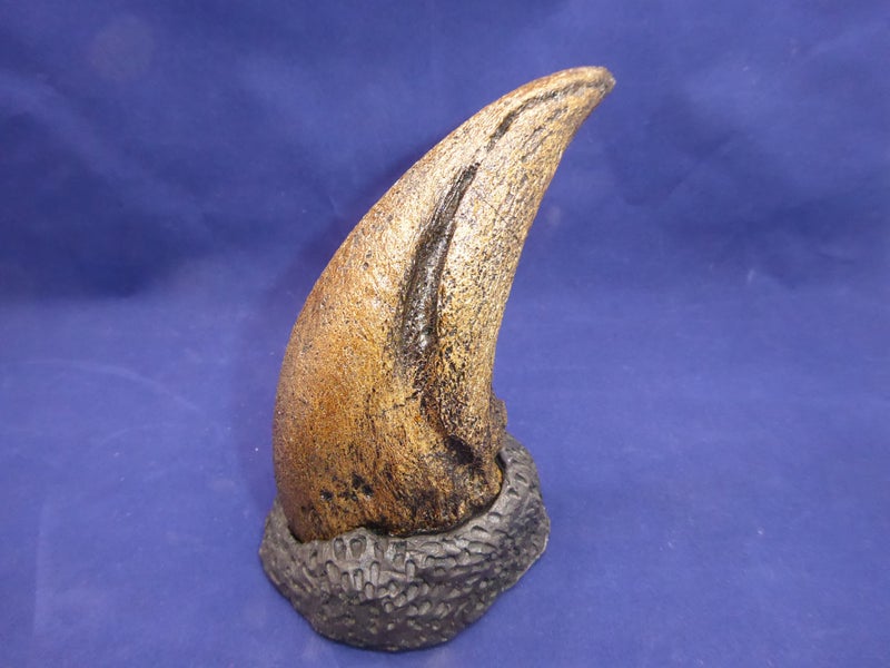Tyrannosaurus-Rex-Toe-Claw-Replica-facing-right-RF001