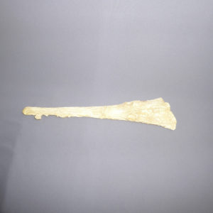 cossgriffius skull replica