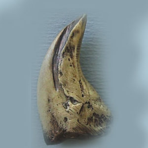 troodon foot claw replica