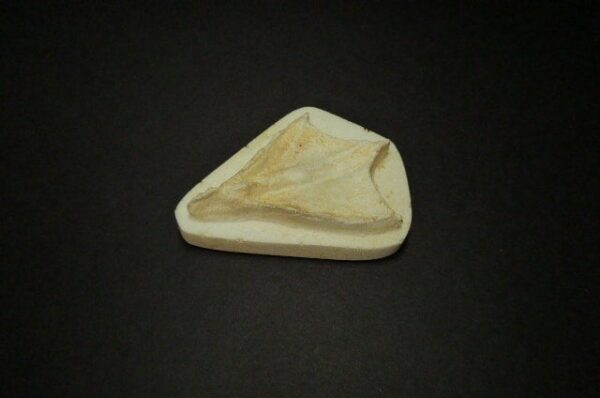 Wood Duck Negative Footprint WNC300AL