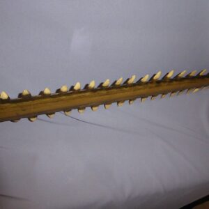 Sawfish Rostrum Replica - Image 3