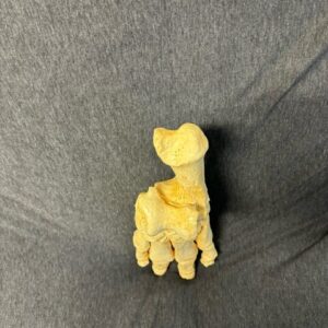 Hippopototamus skeletal foot replica reverse side C306P
