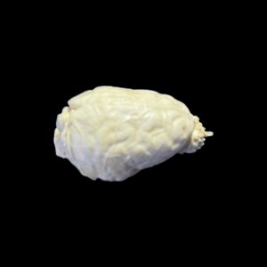 fisher martens brain replica 2 b0053