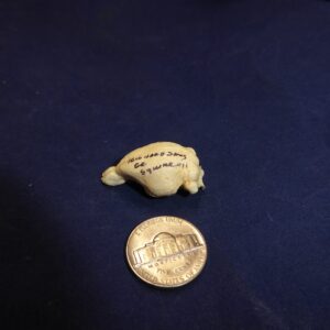 richardsons ground squirrel brain B0051